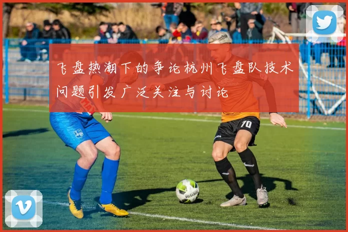 飞盘热潮下的争论杭州飞盘队技术问题引发广泛关注与讨论