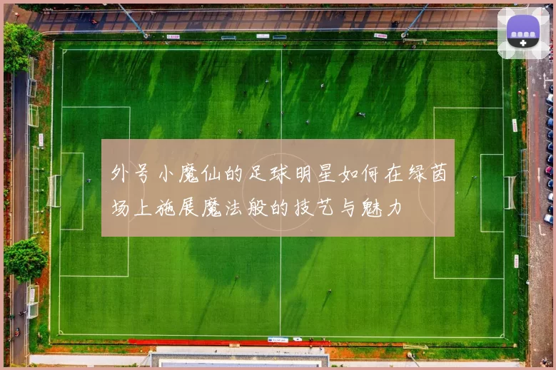 外号小魔仙的足球明星如何在绿茵场上施展魔法般的技艺与魅力