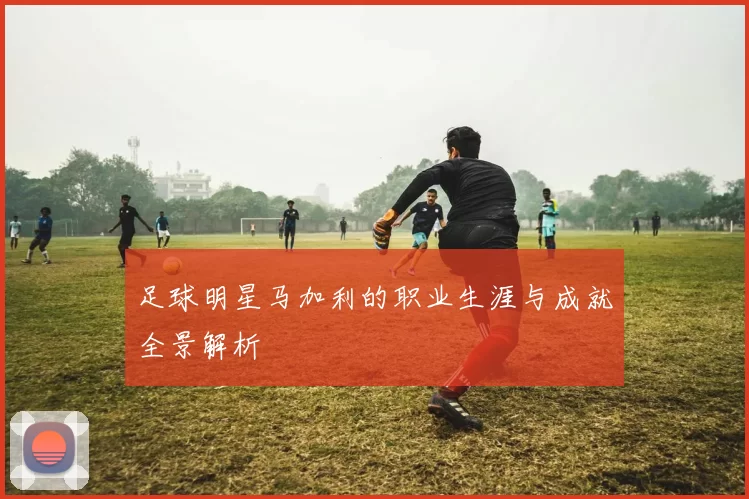 足球明星马加利的职业生涯与成就全景解析