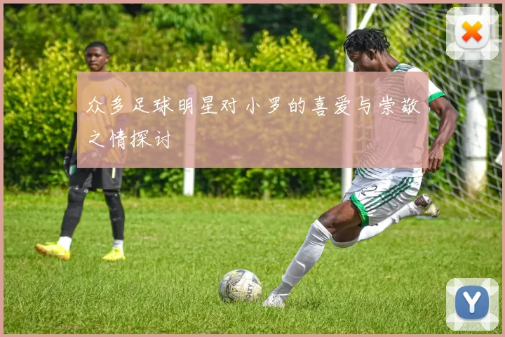 众多足球明星对小罗的喜爱与崇敬之情探讨