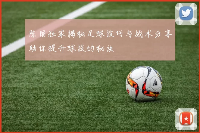 陈丽独家揭秘足球技巧与战术分享助你提升球技的秘诀