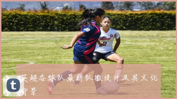 英超各球队最新队徽设计及其文化背景