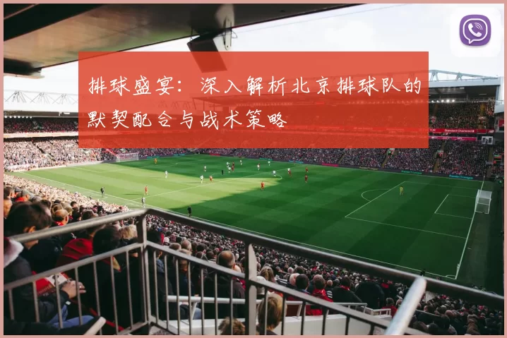 排球盛宴：深入解析北京排球队的默契配合与战术策略