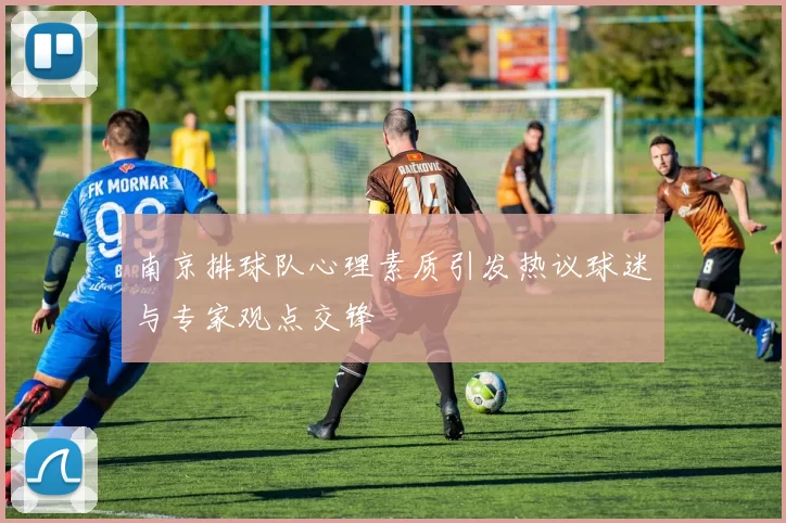 南京排球队心理素质引发热议球迷与专家观点交锋