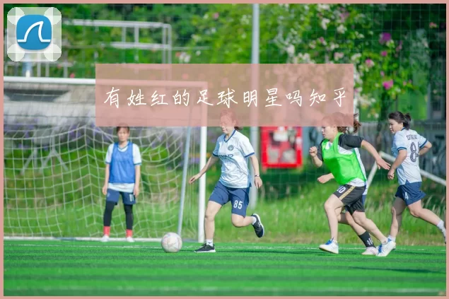 有姓红的足球明星吗知乎