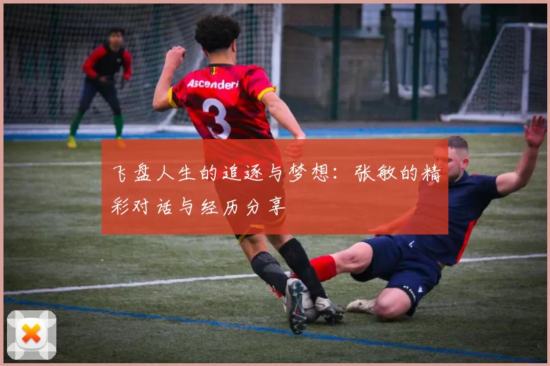 飞盘人生的追逐与梦想：张敏的精彩对话与经历分享