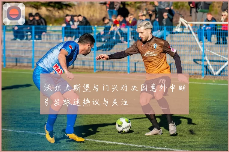 沃尔夫斯堡与门兴对决因意外中断引发球迷热议与关注