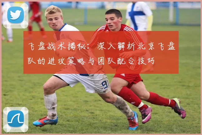 飞盘战术揭秘：深入解析北京飞盘队的进攻策略与团队配合技巧