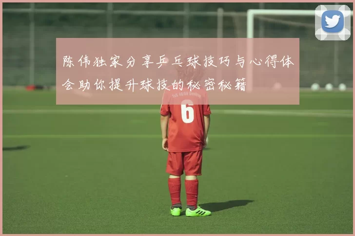 陈伟独家分享乒乓球技巧与心得体会助你提升球技的秘密秘籍