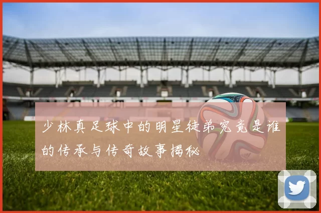 少林真足球中的明星徒弟究竟是谁的传承与传奇故事揭秘